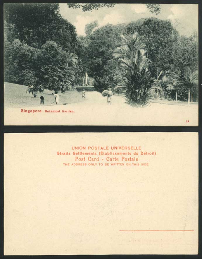 Singapore Old Postcard Malay Gardeners Workers, Botanical Gardens Botanic Garden