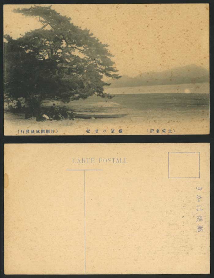 Japan Old Postcard An Old Pine Tree Yokohama, Boat Canoe Mountains Lake or River