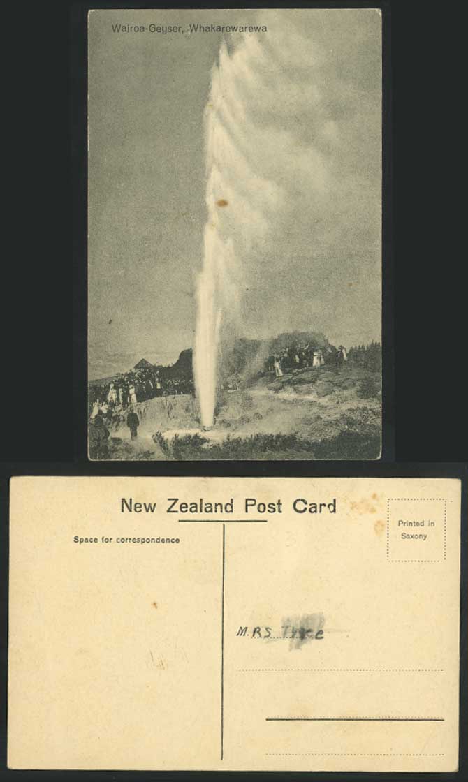 New Zealand Old Postcard Wairoa Geyser, Whakarewarewa - Rocks Crowd Rotorua
