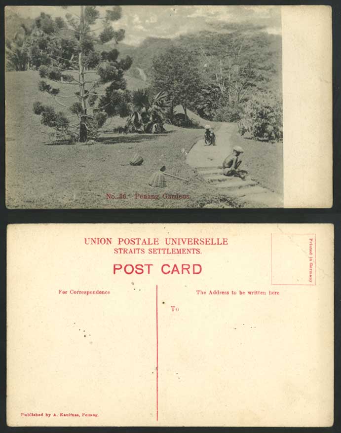 Penang Gardens Old Postcard Malaya, Gardeners at Work, Spade Steps Trees Baskets