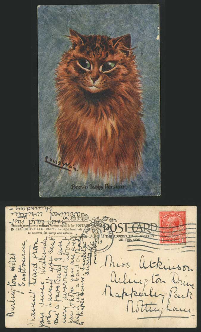 Louis Wain Artist Signed CAT Brown Tabby Persian 1919 Old Postcard PERFIN Kitten