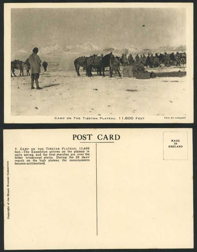 Tibet Mt Everest Expedition Camp on Tibetan Plateau 11600ft. Horses Old Postcard