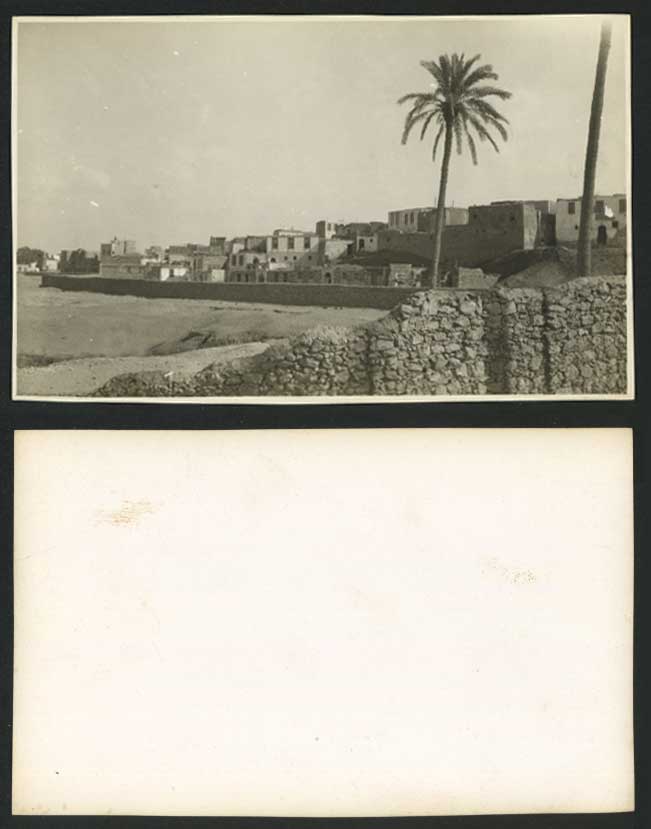 Egypt Old Real Photo Card Cairo City Panorama Palm Tree Houses Desert Sand Dunes