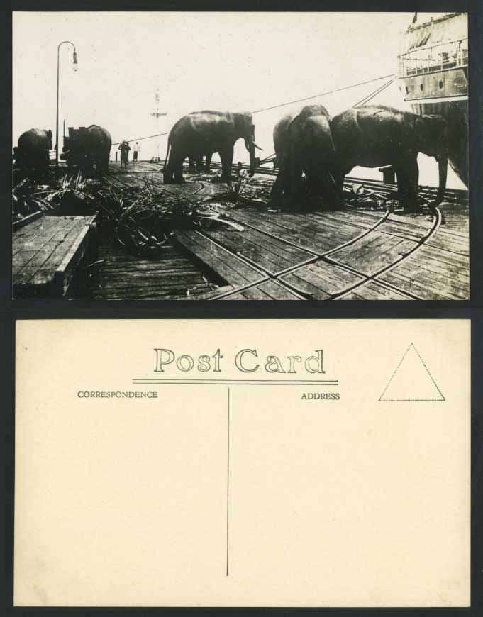 Singapore ELEPHANTS working on SHIP BOAT Malaya Old Real Photo Postcard Elephant