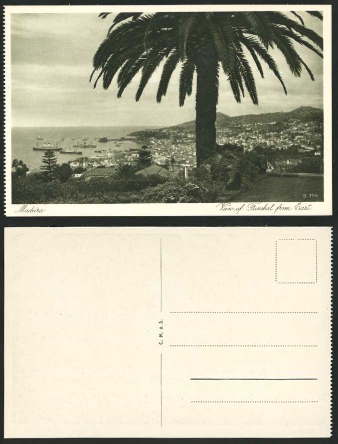 Portugal Old Postcard MADEIRA Panorama View of Funchal from East, Harbour, Ships