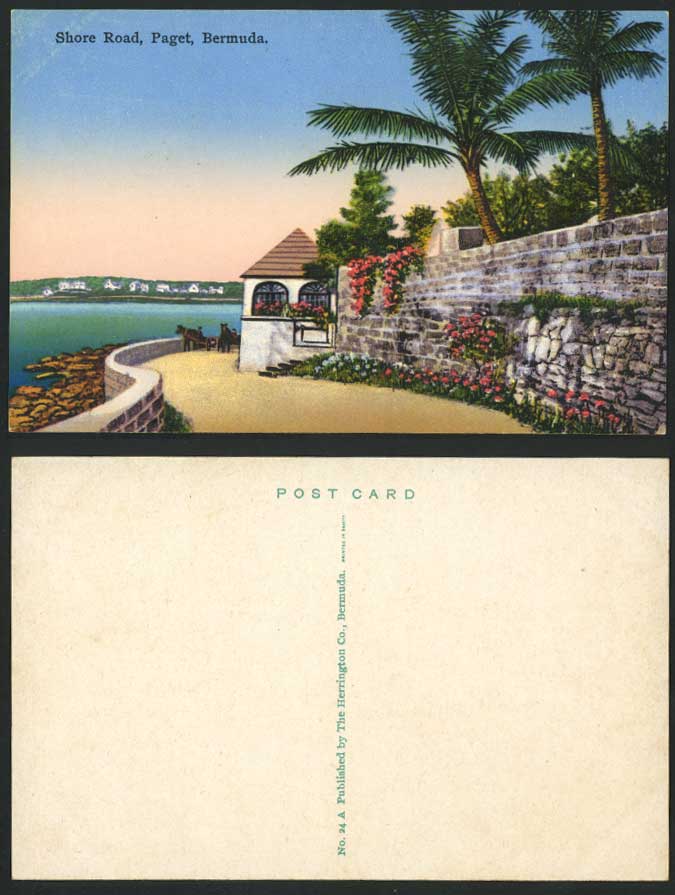 Bermuda Old Colour Postcard PAGET Shore Road Horse Carts Palm Trees Panorama