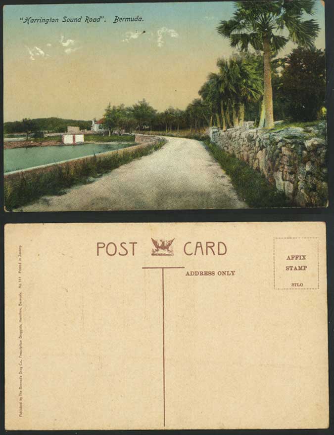 Bermuda Old Colour Postcard Harrington Sound Road Street Scene Palm Trees