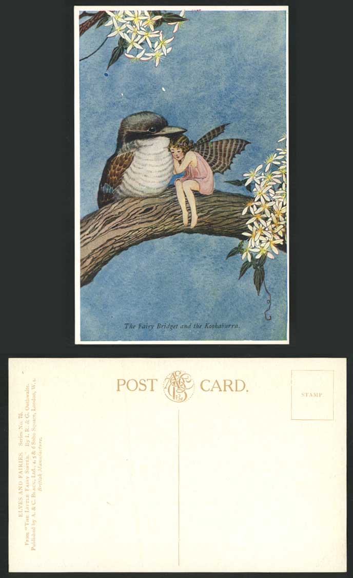 IR & G OUTHWAITE Old Postcard FAIRY BRIDGET and KOOKABURRA, Australian Bird Girl
