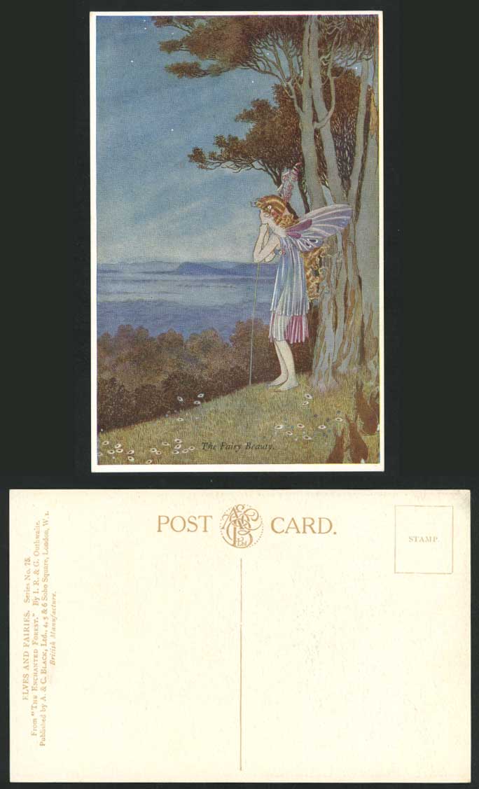 IR & G OUTHWAITE Old Postcard THE FAIRY BEAUTY, Elves & Fairies Enchanted Forest