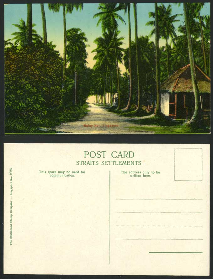 Singapore Native Hut House Old Colour Postcard Palm Trees Rd Straits Settlements
