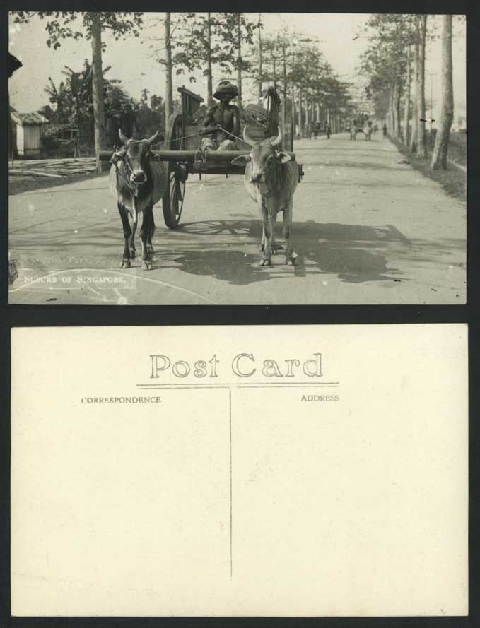 Singapore Suburb, Street Scene, Double Cattle Cart Native Driver Old RP Postcard