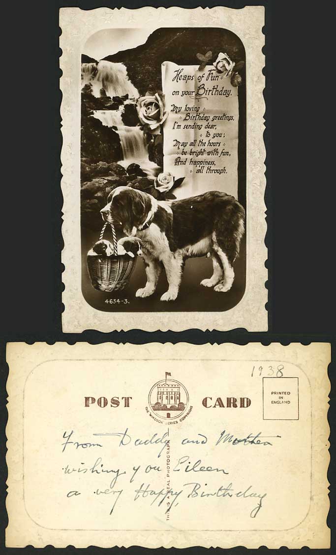 St. Bernard Dog Dogs Puppy Puppies Pet Basket Waterfalls Roses 1938 Old Postcard