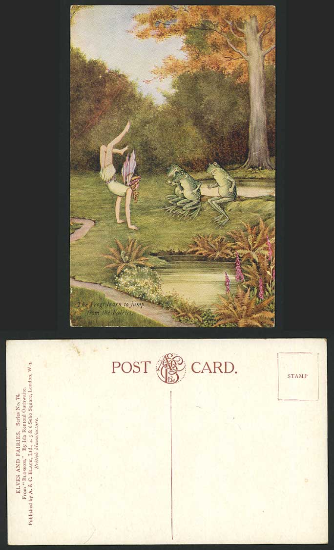 FROG, I.R. OUTHWAITE Old Postcard The Frogs Learn to Jump from Fairies - Blossom
