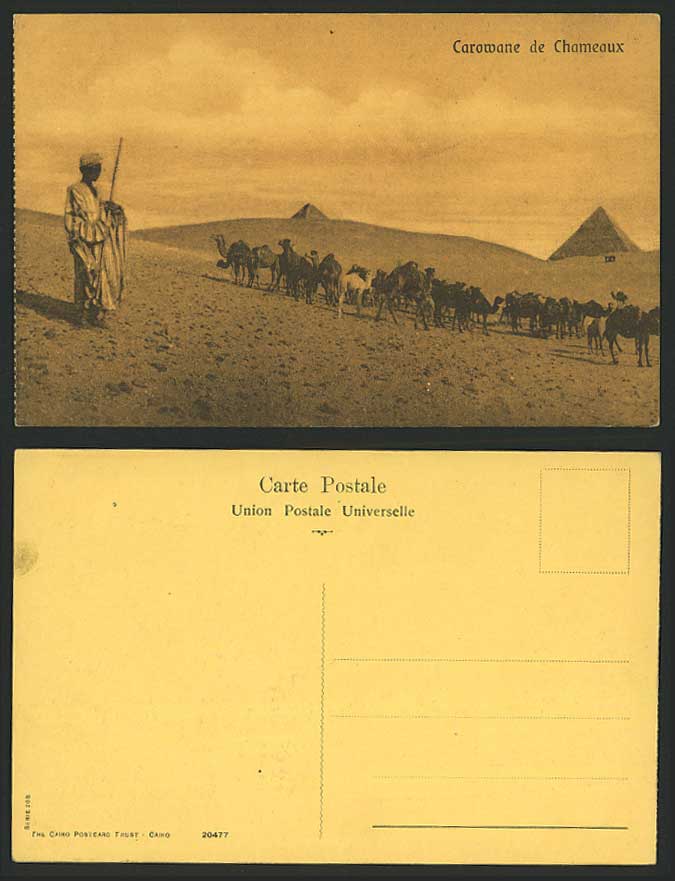 Egypt Old Postcard A Camel Herder, Camels Caravan Pyramids, Carowane de Chameaux