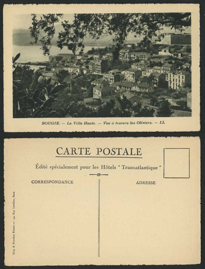 Algeria Old Postcard BOUGIE La Ville Haute Vue a travers les Oliviers Cacti L.L.
