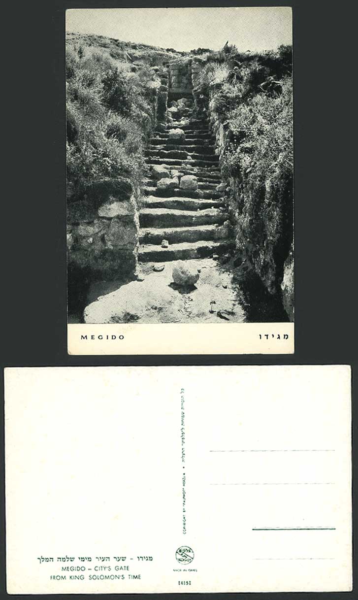 Palestine Israel Megiddo Megido Citys Gate from King Solomon's Time Old Postcard