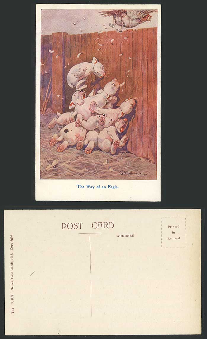 BONZO DOG G.E. Studdy Old Postcard The Way of an Eagle Puppies Chasing Bird 1015