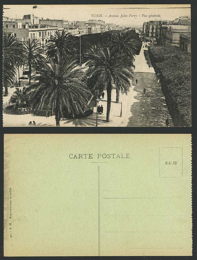 Tunisia Old Postcard Tunis, Avenue Jules Ferry Street Scene Palm Trees, Panorama