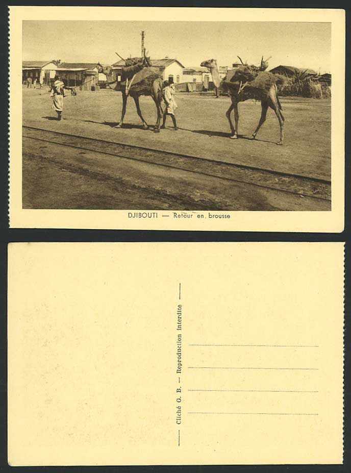 Djibouti French Somalis Old Postcard Camels Native Men Return, Retour en Brousse