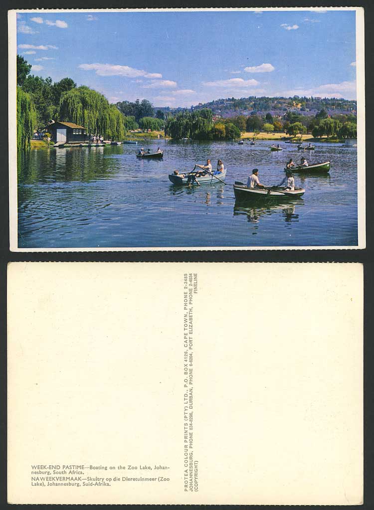 South Africa Postcard Boats Boating on Zoo Lake, Johannesburg, Week-End Pastime