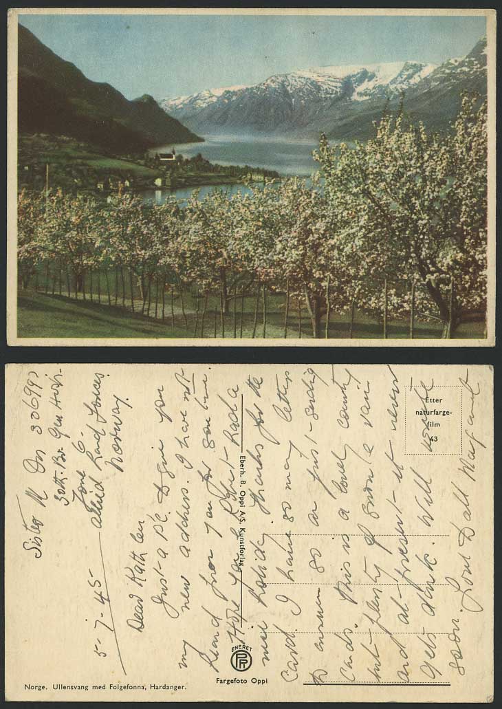 Norway Ullensvang med Folgefonna Hardanger Snowy Mountains 1945 Larger Postcard