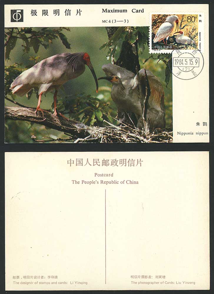China Maximum Card 1984 Birds Nipponia Nippon Crested ibis Toki Nest 80c MC4 3-3