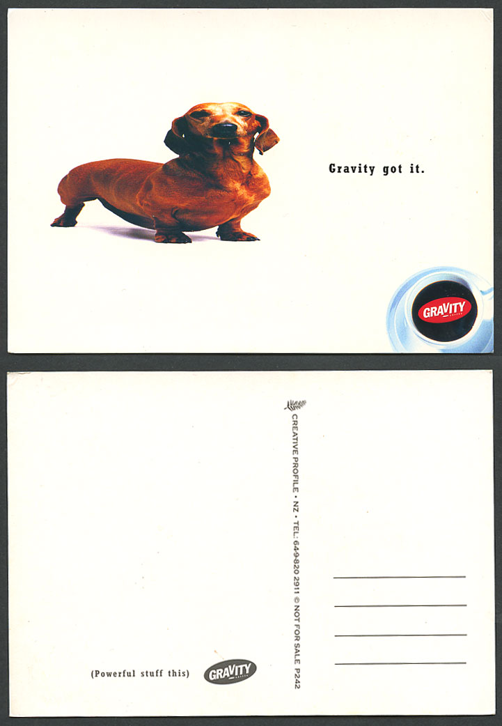 Dachshund German Sausage Dog Puppy Gravity Got It Coffee Advertising Postcard NZ