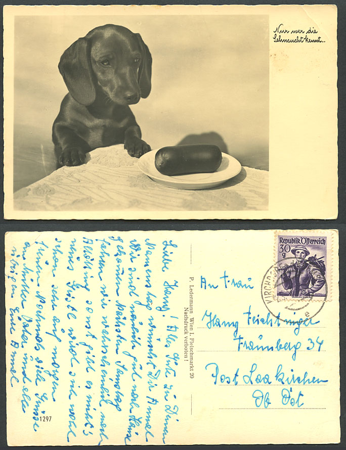 Dachshund German Sausage Dog Puppy Pet Plate Austria 30g Old Real Photo Postcard