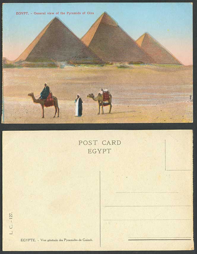 Egypt Old Color Postcard Cairo General View of Pyramids Giza Gizeh Ghizeh Camels