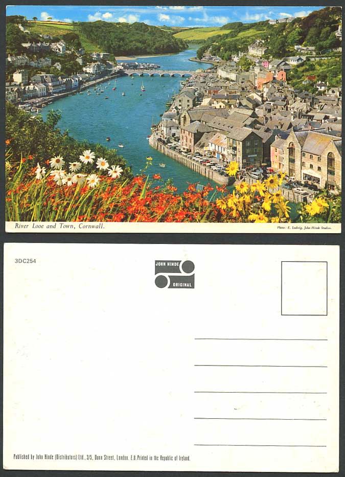 Cornwall c.1970 Postcard River Looe and Town Bridge River Scene Flowers Panorama