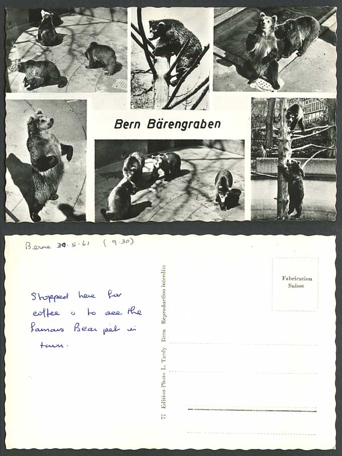 Switzerland BERN Baerengraben 1961 Old Real Photo Postcard Bears, Fosse aux Ours