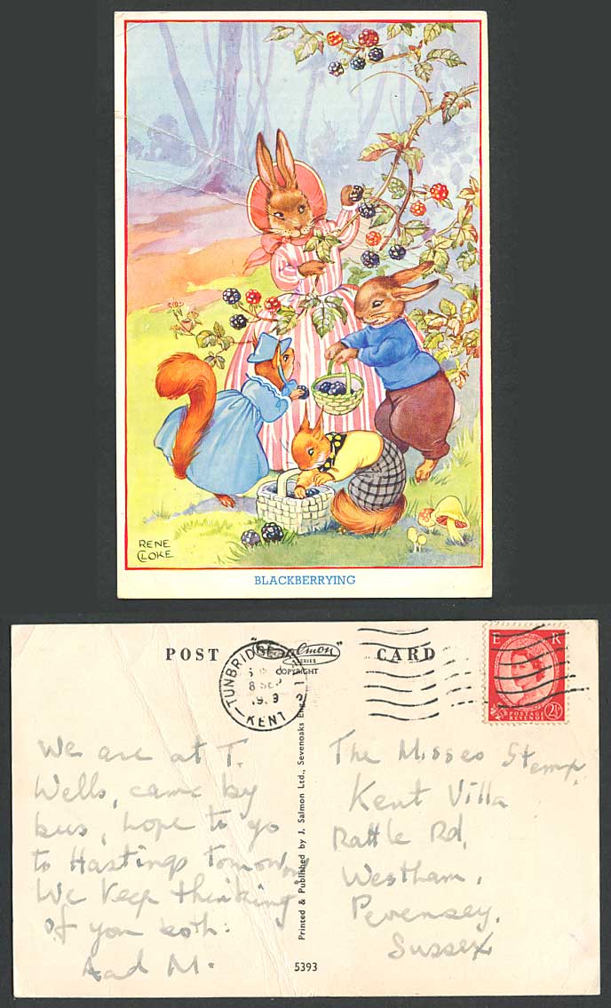 RENE CLOKE 1959 Old Postcard Blackberrying, Rabbits Squirrels Picking Blackberry