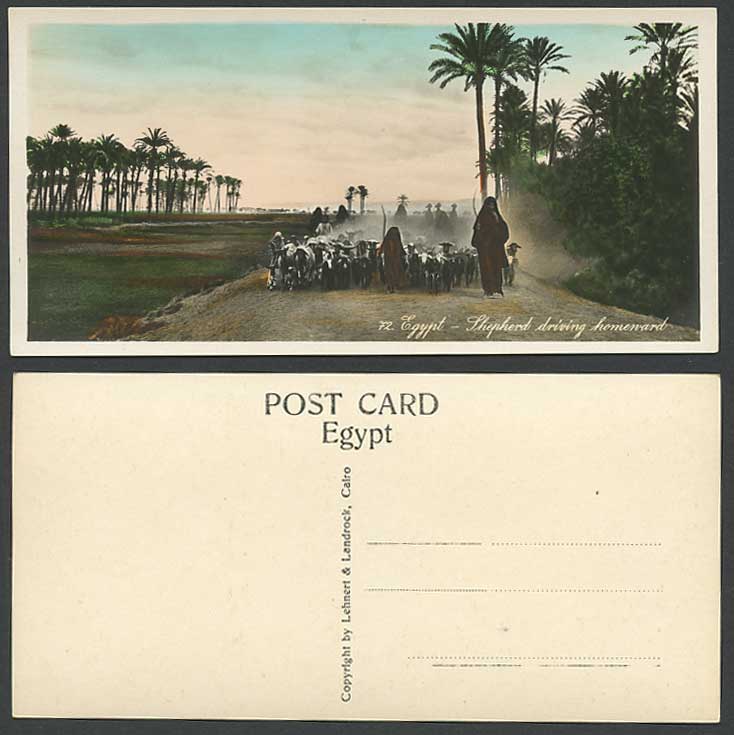 Egypt Old RP Postcard Shepherd Driving Homeward Sheep Goats Palm Trees, Bookmark