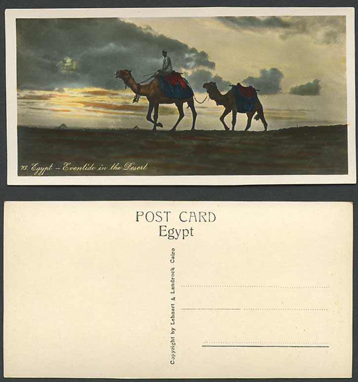 Egypt Old Postcard Eventide in Desert, Pyramids Giza, Camels, Native Camel Rider