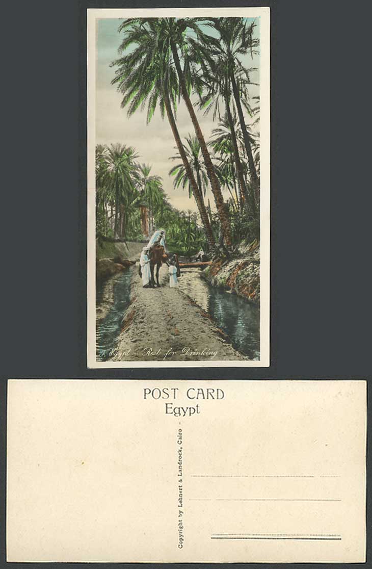 Egypt Old Postcard Rest for Drinking, Camel Rider Palm Trees Log Bridge Bookmark