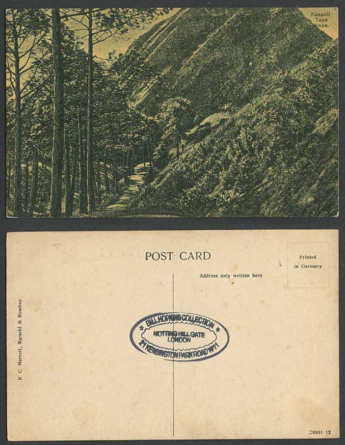 India Old Postcard KASAULI TAPS NOSE, Himachal Pradesh Mountains Trees Path Road