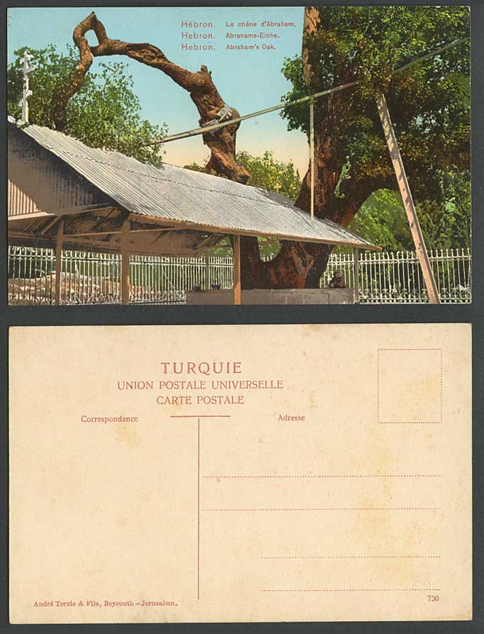 Palestine Old Colour Postcard HEBRON ABRAHAM OAK TREE, Eiche, Le chene d'Abraham
