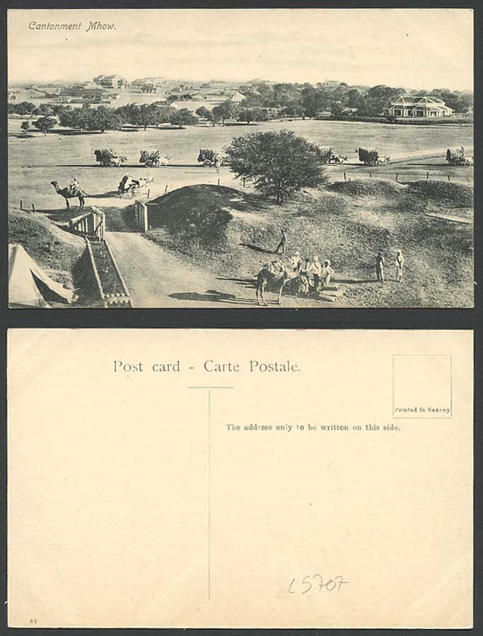 India Old Postcard Cantonment Mhow, Camels, Double Bullock Carts, Tent, Panorama