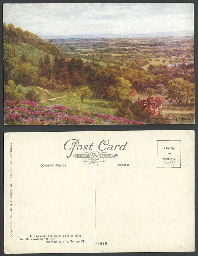 AR Quinton Old Postcard View from LEITH HILL S.E South East Surrey Panorama 1516