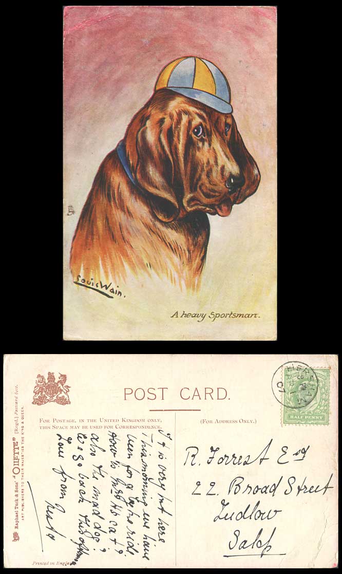 LOUIS WAIN Artist Signed Bloodhund Dog A Heavy Sportsman 1907 Old Tucks Postcard