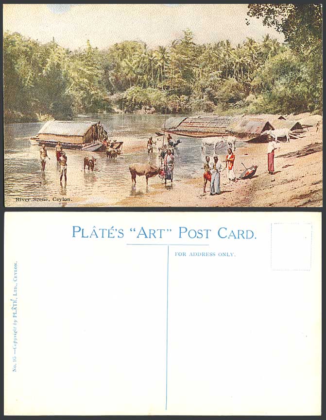Ceylon c1930 Old Colour ART Postcard River Scene Cattle Native Men Sampans Boats