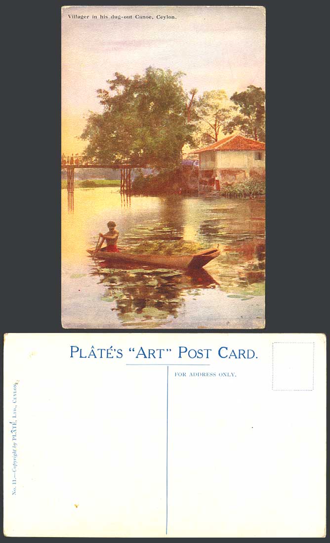 Ceylon c.1930 Plate's ART Old Postcard Villager in His Dug-Out Canoe Boat Bridge