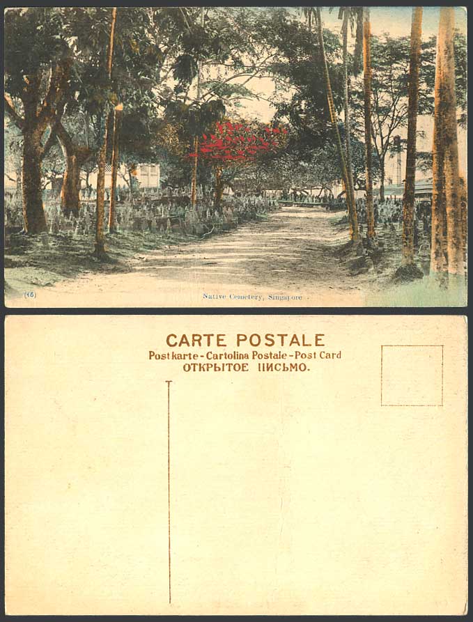 Singapore Old Hand Tinted Postcard Native Cemetery, Graves Tombs Road Path Trees