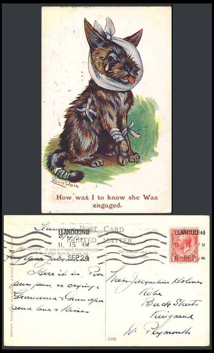 Louis Wain Artist Signed, Cat Kitten, How I Know She's Engaged 1924 Old Postcard