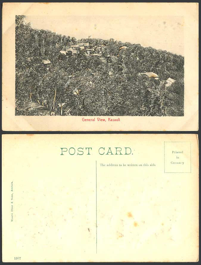 India Heavily Embossed Old Postcard General View Kasauli Hill, Panorama, Novelty