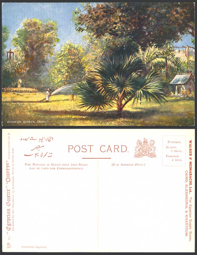 Egypt Old Tuck's Oilette Postcard Cairo Esbekieh Garden Gardens Egyptian Gazette