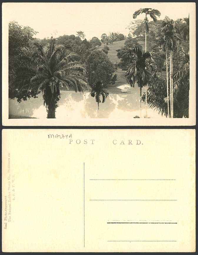 Malaya F.M.S. Old R.P. Postcard Botanic Garden Palm Trees Lake Botanical Gardens