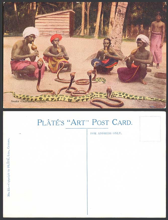 Ceylon Old Colour Postcard Native Snake Charmers Cobra Snakes Jugglers Plate Art