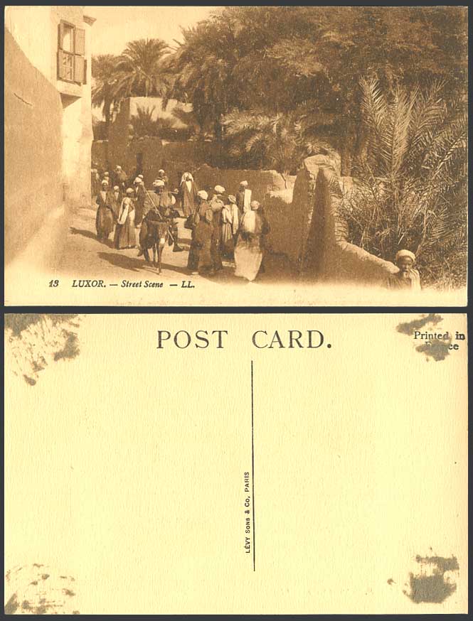 Egypt Old Postcard Luxor Louxor Louqsor Street Scene, Donkey Rider Palms L.L. 13