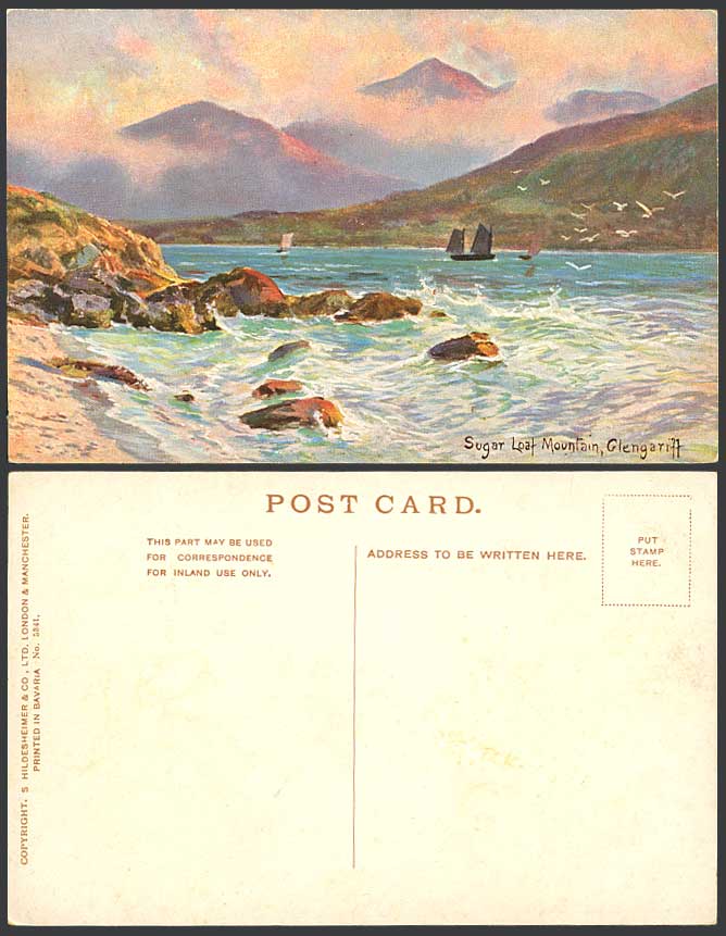 Ireland Sugar Loaf Mountain Glengariff Co. Cork Boats Artist Drawn Old Postcard